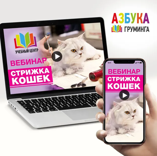 Скачать курс «[Азбука Груминга] Стрижка кошек (Дарья Казимова, Ксения Селезнева)» — слив курса