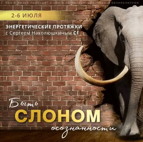 Скачать курс «[Access] Энергетические протяжки «Быть слоном осознанности» (Сергей Наколюшкин)» — слив курса