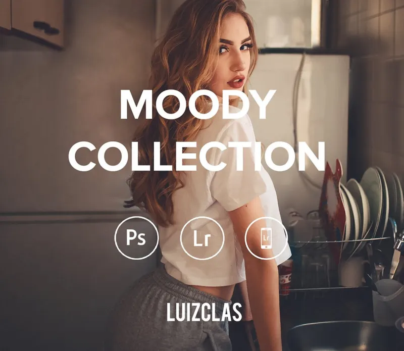 Скачать курс «All presets, 2025 (LUIZCLAS)» — слив курса