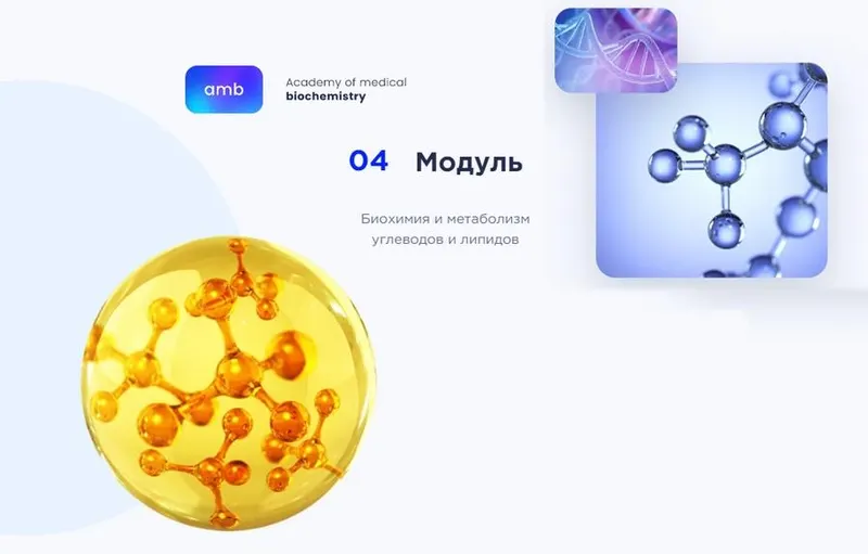 Скачать курс «[amb] Основы биохимии. 4 модуль. Биохимия и метаболизм углеводов и липидов (Елизавета Радевич)» — слив курса