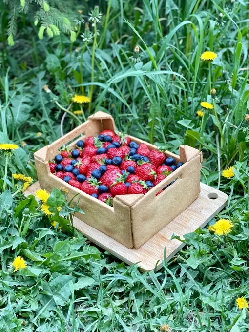 Скачать курс «[anastasiya_bakery] Видеоурок Ящик с клубникой (Анастасия Политыкина)» — слив курса
