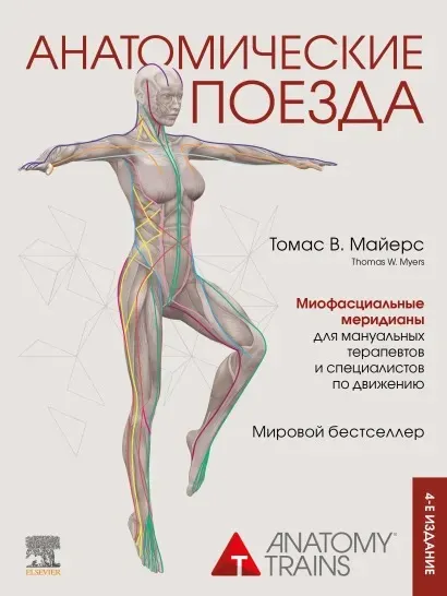 Скачать курс «Анатомические поезда. Четвёртое издание (Томас Майерс)» — слив курса
