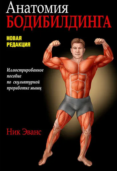 Скачать курс «Анатомия бодибилдинга. Иллюстрированное пособие по скульптурной проработке мышц (Ник Эванс)» — слив курса