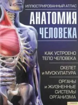 Скачать курс «Анатомия человека. Иллюстрированный атлас  (Adolfo Cassan)» — слив курса