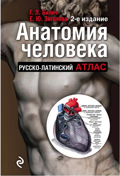 Скачать курс «Анатомия человека. Русско-латинский атлас (Габриэль Билич, Елена Зигалова)» — слив курса