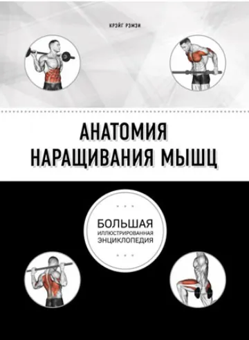 Скачать курс «Анатомия наращивания мышц (Крэйг Рэмзи)» — слив курса
