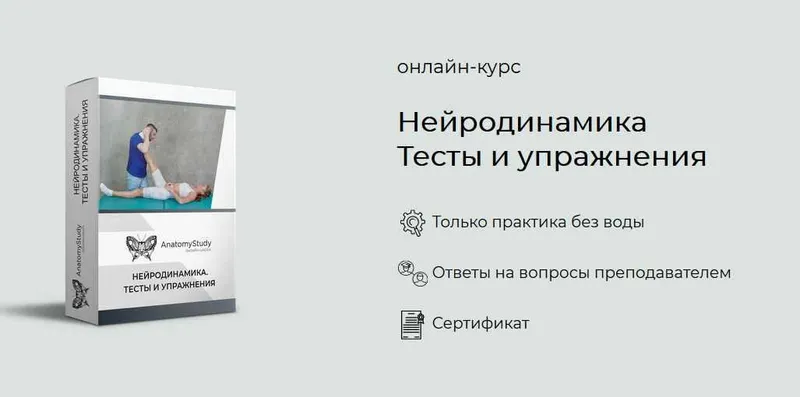 Скачать курс «[Анатомия] Нейродинамика. Тесты и упражнения (Андрей Богатырев)» — слив курса