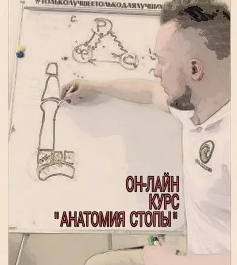 Скачать курс «Анатомия стопы (Кирилл Шлыков)» — слив курса