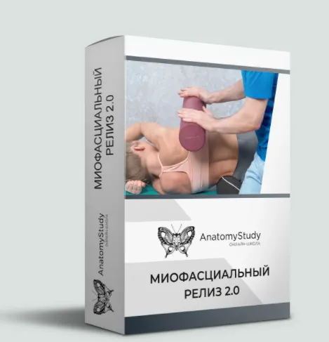 Скачать курс «[AnatomyStudy] Миофасциальный релиз 2.0 (Андрей Богатырев)» — слив курса