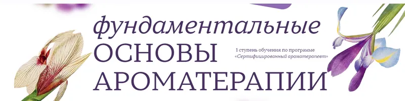Скачать курс «[Aromatic Studies] Фундаментальные основы ароматерапии (Джейд Шутс)» — слив курса