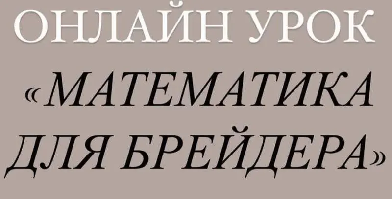 Скачать курс «[Artstu10] Математика для брейдеров (Анастасия Десятникова)» — слив курса