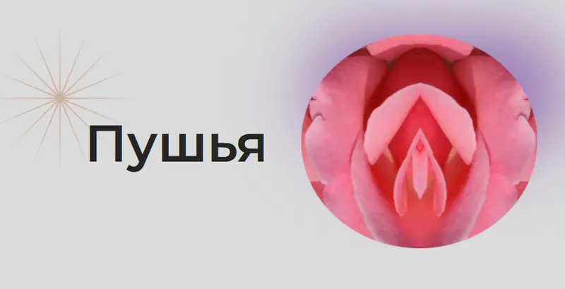 Скачать курс «[Astrogreen] Накшатра Пушья (Анна Воробьева)» — слив курса