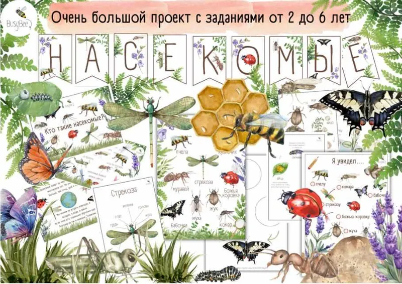 Скачать курс «[busy-bee] Большой проект Насекомые (Елена Самсонова)» — слив курса