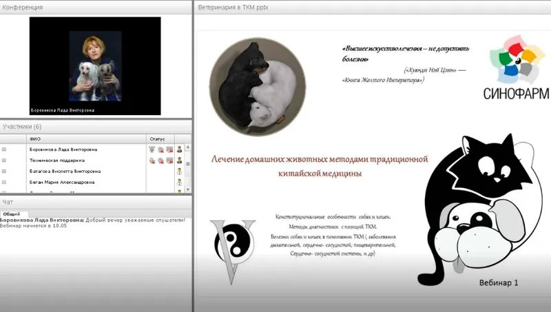 Скачать курс «Болезни собак и кошек с позиций ТКМ (Лада Боровикова)» — слив курса