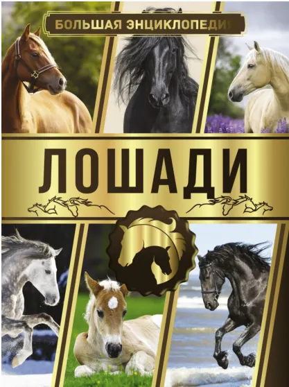 Скачать курс «Большая энциклопедия. Лошади (Анна Спектор)» — слив курса