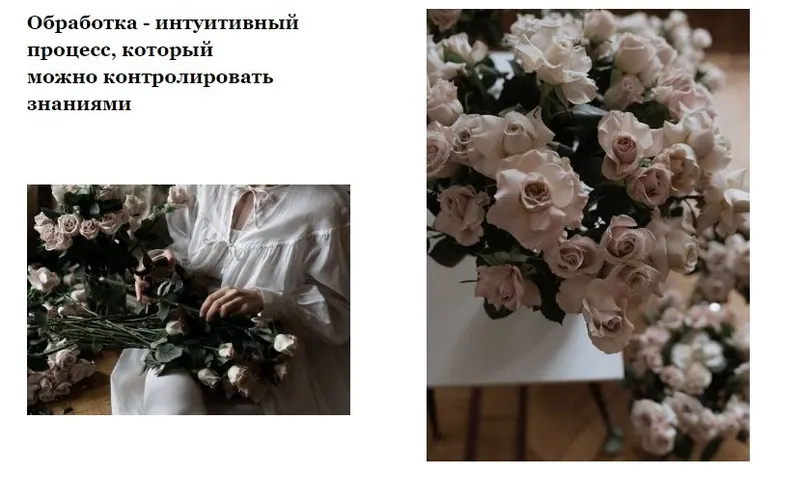 Скачать курс «Цвет в фотографии. Урок, который. поможет найти свой цвет (Александра Бухарева)» — слив курса