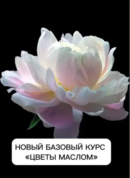 Скачать курс «Цветы маслом (Виталий Антипин)» — слив курса