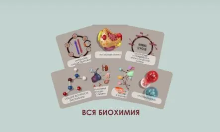 Обложка курса «[CHRISTOVSKAYA’S Medical School] Бокс «Весь курс биохимии»»