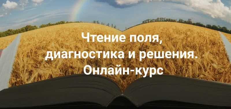 Скачать курс «Чтение поля,  диагностика и решения .Тариф Апгрейд до пакета "Полный" (Елена Веселаго)» — слив курса