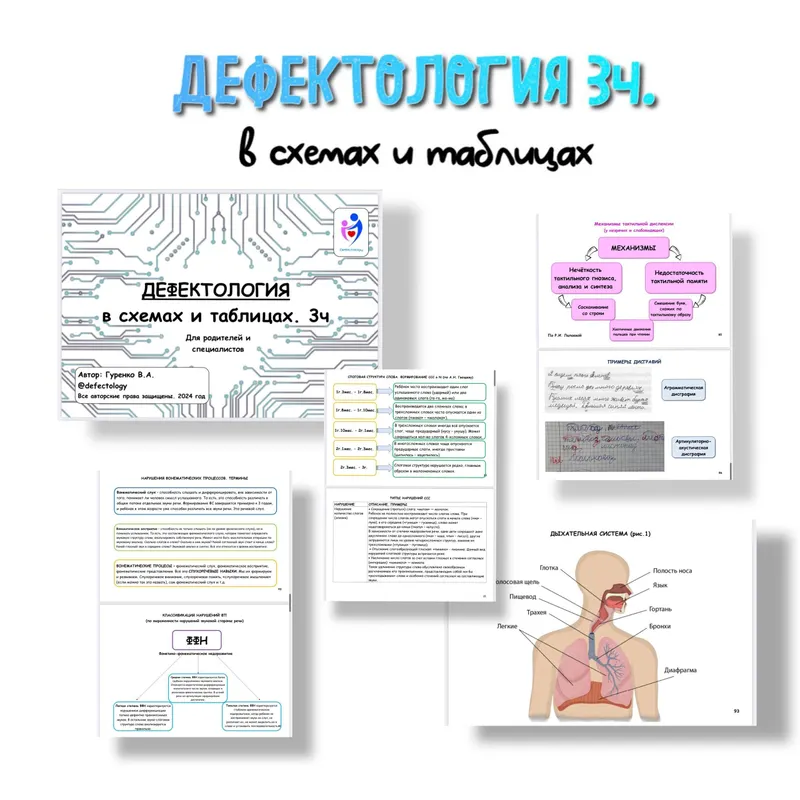 Скачать курс «Дефектология в схемах и таблицах 3 часть (Виктория Гуренко)» — слив курса