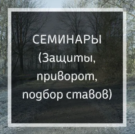 Скачать курс «Диагностика ставов рунами (Ольга Бушар)» — слив курса