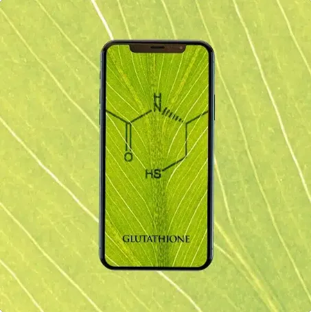 Скачать курс «[Digital Energy Mandalas] Глутатион (Эрик Томпсон)» — слив курса