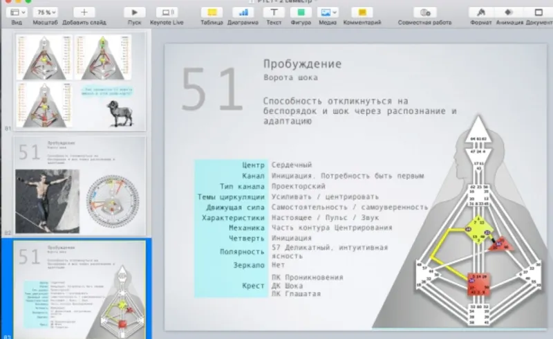 Скачать курс «[Дизайн Человека] Курс «PTL I» месяц 7 (Виктор Крючков)» — слив курса