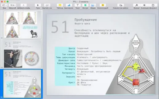 Скачать курс «[Дизайн Человека] Курс «PTL I». Месяц 9 (Виктор Крючков)» — слив курса