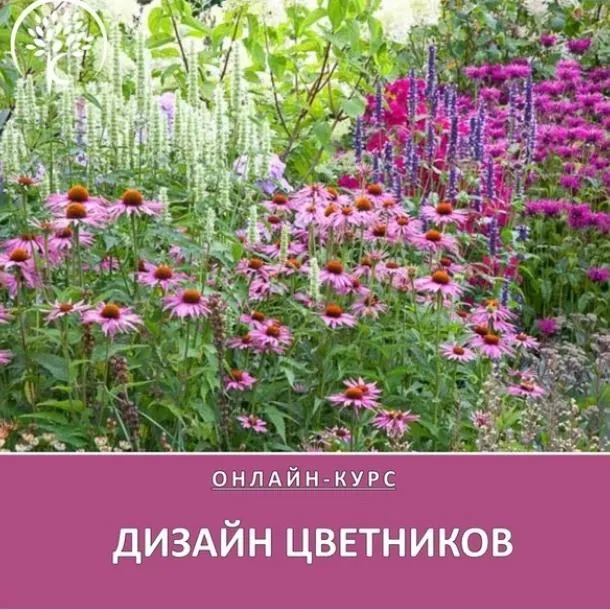 Скачать курс «Дизайн цветников (Ольга Красулина)» — слив курса