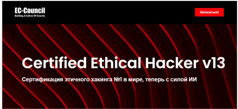 Скачать курс «[EC-Council] Certified Ethical Hacker Ceh v13. Этичный хакинг и тестирование на проникновение 2024. Часть 320» — слив курса