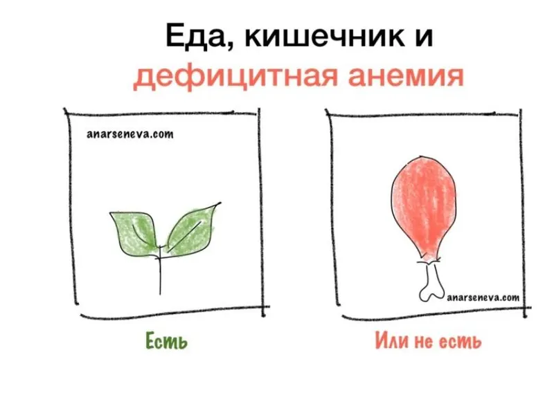 Скачать курс «Еда, кишечник и дефицитная анемия (Анастасия Арсенева)» — слив курса