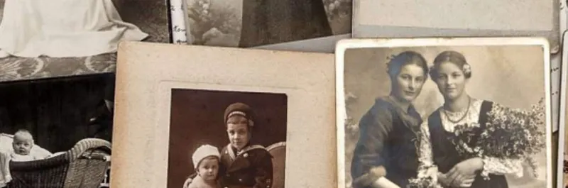 Скачать курс «[edrena_matrena] Руководство по составлению родословной. Пакет 1 Больший» — слив курса