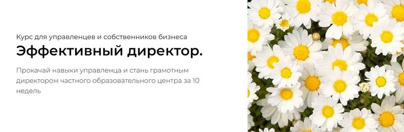 Скачать курс «Эффективный директор. Тариф Профи (Наталья Батиг)» — слив курса