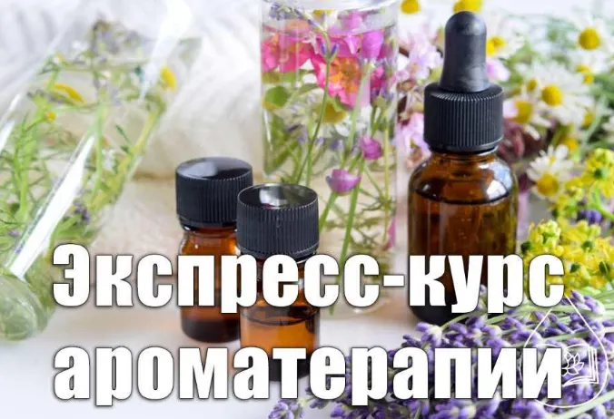 Скачать курс «Экспресс-курс ароматерапии (Ольга Мамистова)» — слив курса