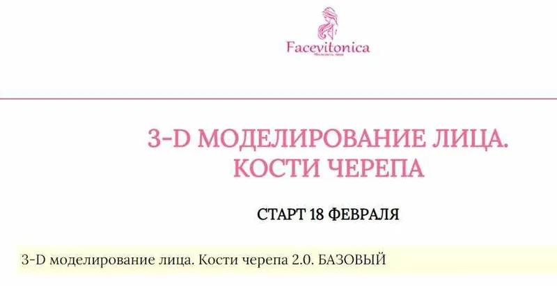 Скачать курс «[Facevitonica] 3Д Моделирование лица. Кости черепа (Инна Алферова)» — слив курса