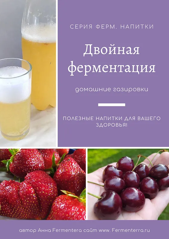 Скачать курс «[Fermenterra] Двойная ферментация, домашние газировки (Анна Fermenterra)» — слив курса