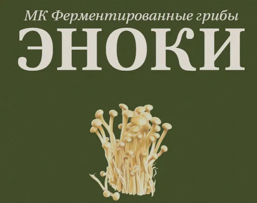 Скачать курс «[fermentinwonderland.ru] Ферментированные грибы Эноки (Мария Сочилкина)» — слив курса