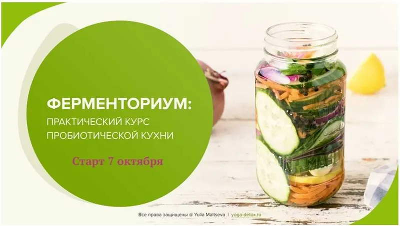 Скачать курс «Ферменториум: практический курс пробиотической кухни (Юлия Мальцева)» — слив курса