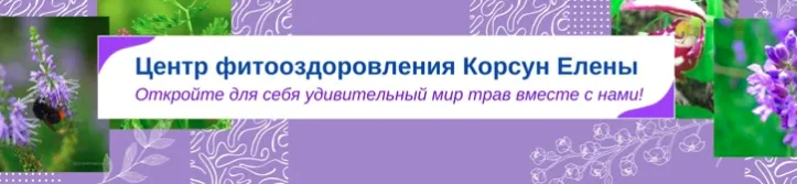 Скачать курс «[Fitomama] Фитотерапия в онкологии Часть 2 (Елена Корсун)» — слив курса