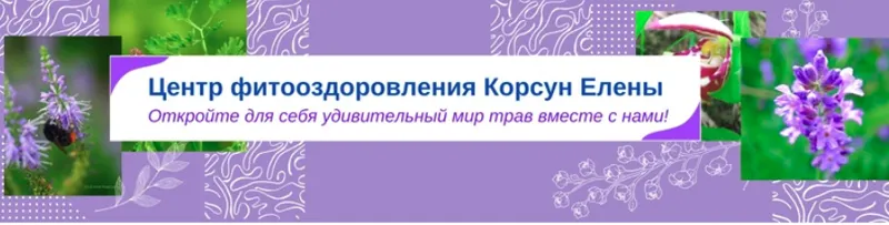 Скачать курс «[Fitomama] Фитотерапия кандидоза (Елена Корсун)» — слив курса