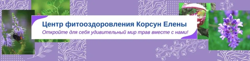 Скачать курс «[Fitomama] Травы при гельминтозе, паразитах (Елена Корсун)» — слив курса