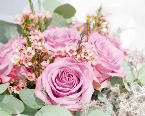 Скачать курс «[Flower School] Бюджетные букеты (Екатерина Андрюкова)» — слив курса