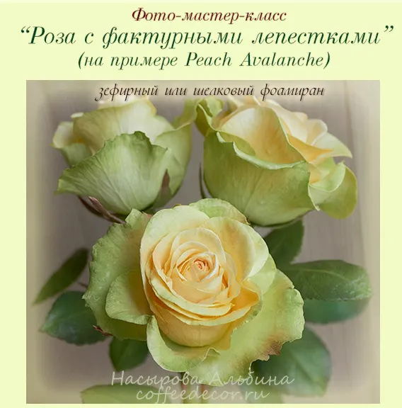 Скачать курс «Фото-мастер-класс «Роза с фактурными лепестками» на примере Peach Avalanche. Зефирный или шелковый фоамиран (Альбина Насырова)» — слив курса