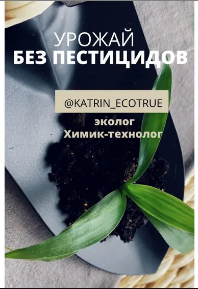 Скачать курс «Гайд-помощник: Урожай без пестицидов. Ваш экологичный огород (katrin_ecotrue)» — слив курса
