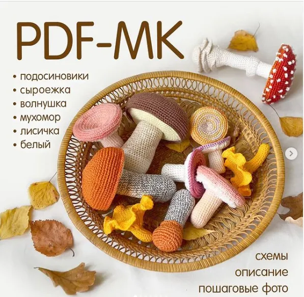 Скачать курс «Грибное лукошко (Светлана Пелюшенко)» — слив курса