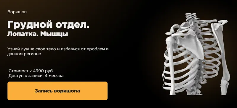 Скачать курс «Грудной отдел. Лопатка. Мышцы (Стас Свобода)» — слив курса