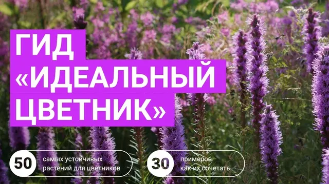 Скачать курс «Идеальный цветник (Марина Берестова)» — слив курса