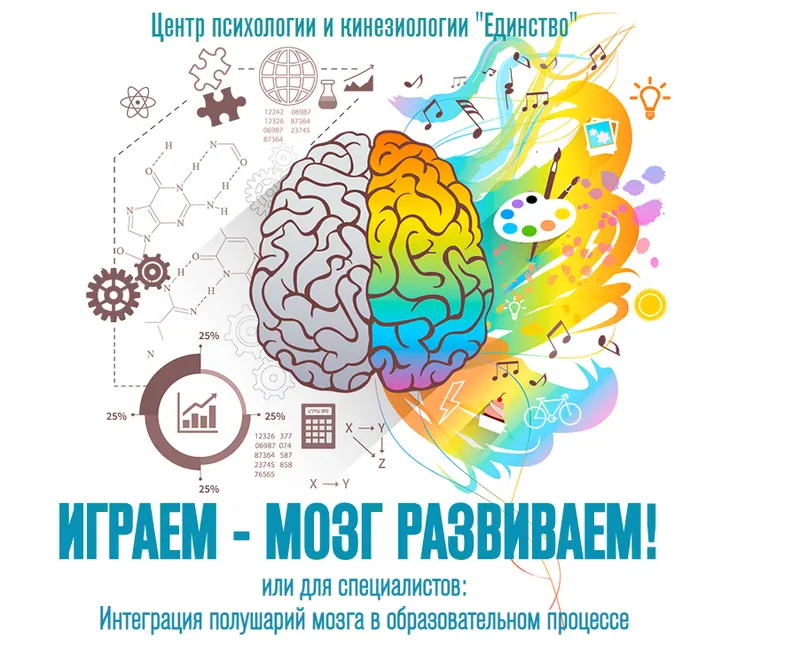 Скачать курс «Играем - мозг развиваем (Елена Шадрина)» — слив курса