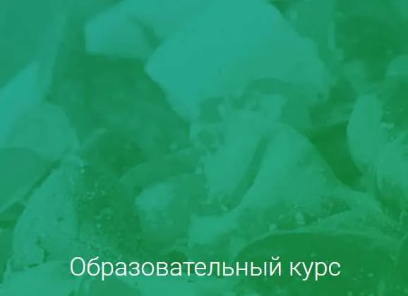 Скачать курс «[Institute of Nutrition & Detox Coaching] Программа Detox GURU (Ната Гончар)» — слив курса
