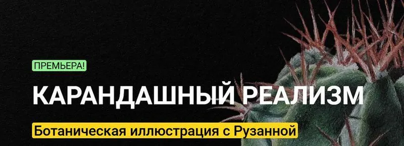 Скачать курс «[kalachevaschool] Карандашный реализм. Ботаническая иллюстрация. Тариф - Стандарт (Рузанна Айрапетян)» — слив курса